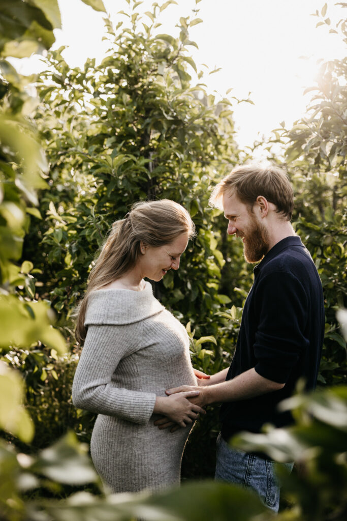 Zachte zwangerschapsshoot tussen de appelbomen bij De Buytenhof in Rhoon tijdens zonsondergang